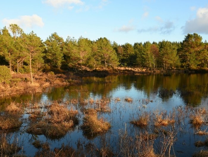 restored pond after fracking