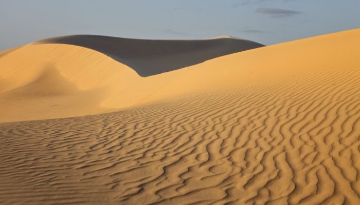 rippled sand dunes in monahans sandhills state park of texas