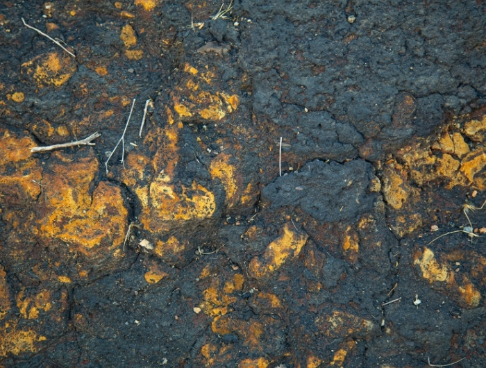 Contaminated Soil Disposal in the Permian Basin: Permits, Process, and What Operators Need to Know