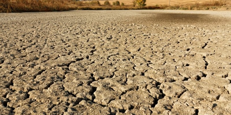 crack and contaminated soil in open field